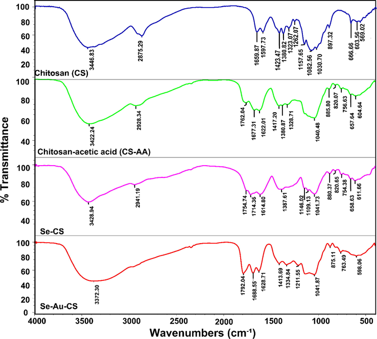 The FTIR of the chitosan (CS), chitosan-acetic acid (CS-AA), Se-CS and Se-Au-CS.