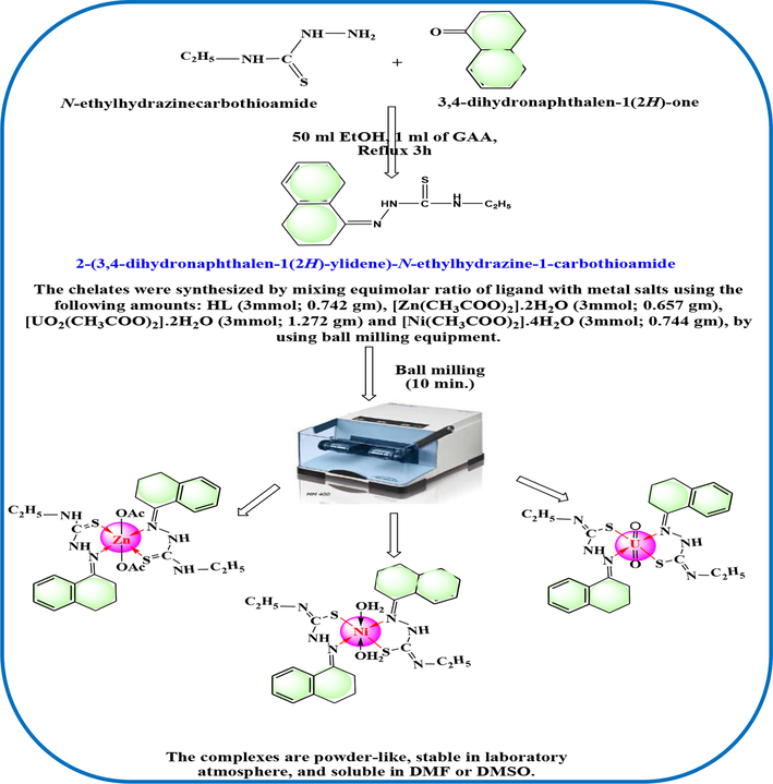 The synthesis strategy y of the ligand (HL) and its metal complexes.