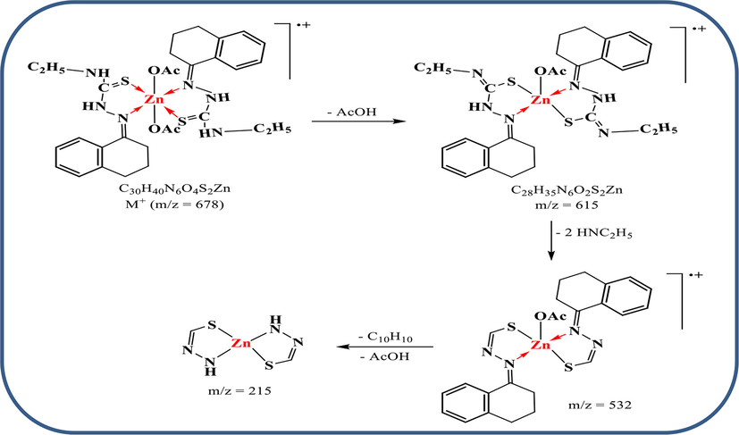 Suggested fragmentation for the mass spectrum of Zn(II) complex.