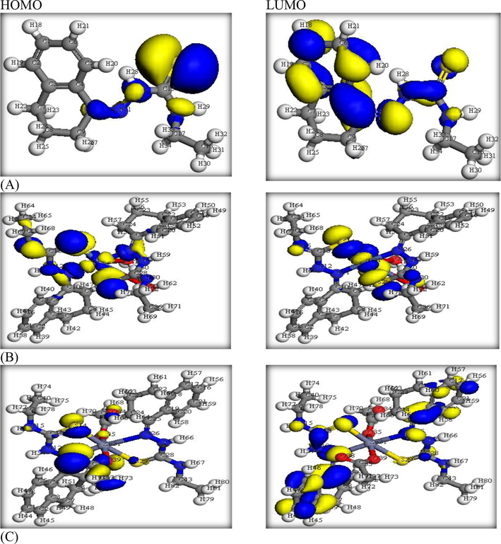 HOMO & LUMO levels of (A)HL ligand, (B)Ni(II) and (C)Zn(II) complexes.