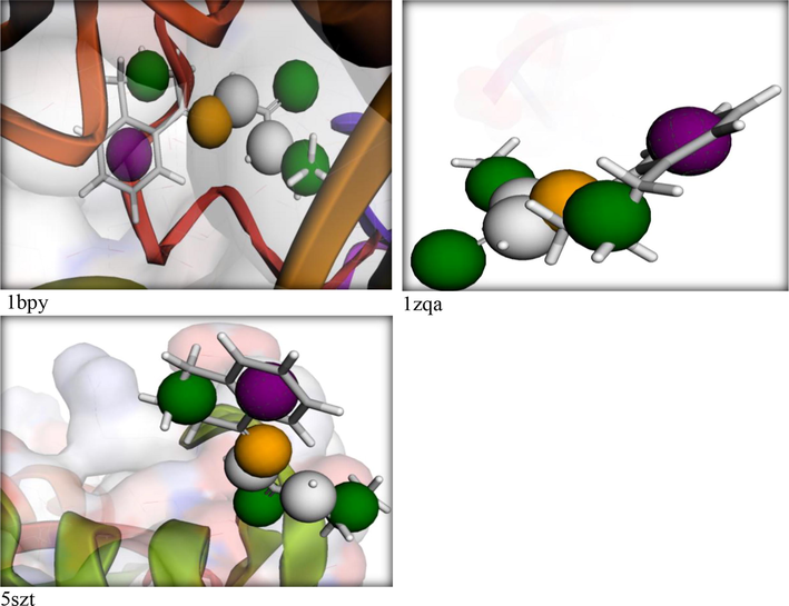 Pharmit interaction for the HL ligand towards DNA-polymerase proteins.