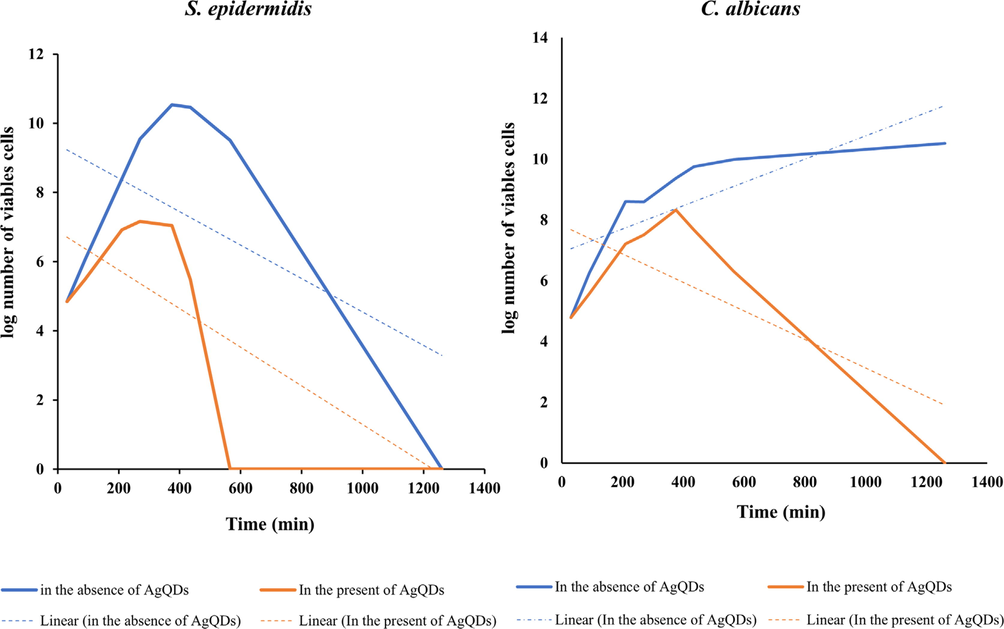 Growth curves of S. epidermidis and C. albicans in the absence and presence of AgQDs at concentration of MBC (62.5 μg/ml).