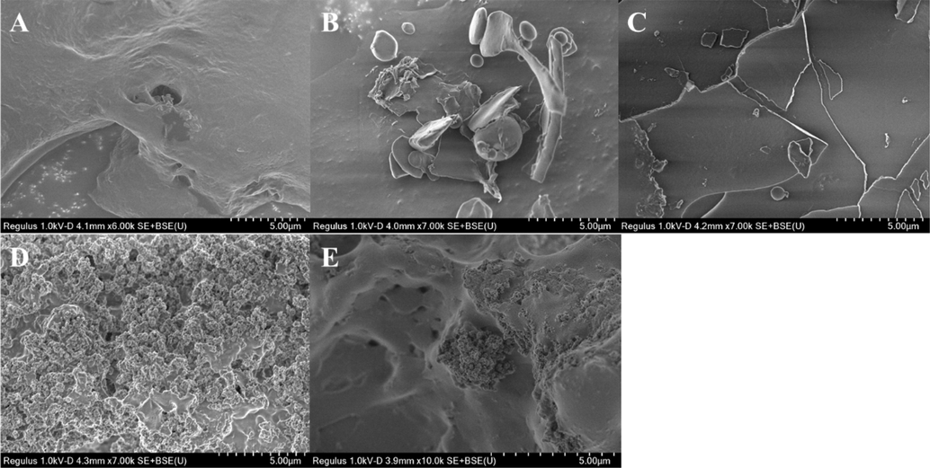 The SEM images of PST (A), SPST-1 (B), SPST-2 (C), SPST-3 (D) and SPST-4 (E).