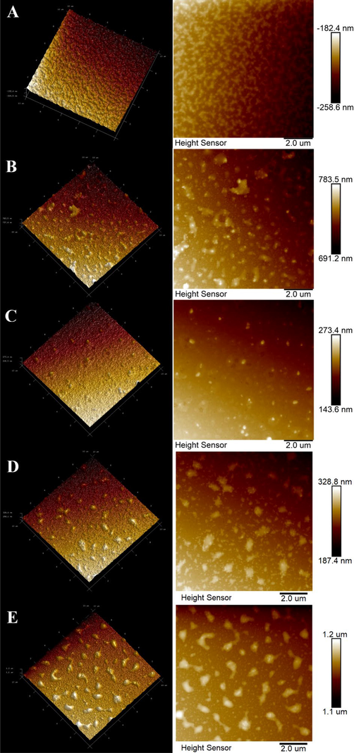 The AFM images of PST (A), SPST-1 (B), SPST-2 (C), SPST-3 (D) and SPST-4 (E).