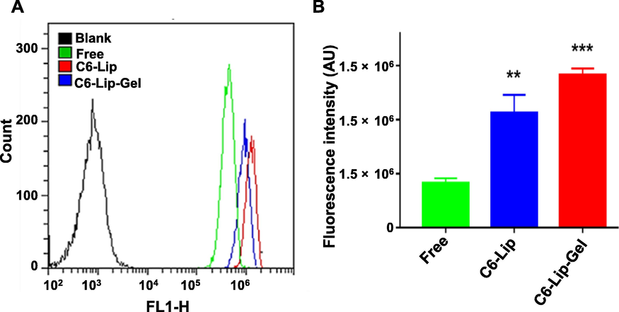 (A) Flow cytometry plots and (B) the corresponding fluorescence intensity analysis (mean ± SD, n = 6). Note: * indicates another group vs. the free C6 (Free) group, (**p < 0.01, ***p < 0.001).