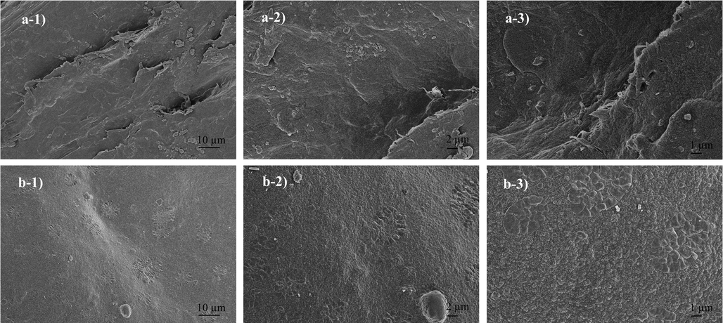 SEM images of the composites a) 1000x, 2500x and 5000x magnification of Chitosan/nHAp-ZnO b) 1000x, 2500x and 5000x magnification of Chitosan/nHAp-ZnO/GlA.
