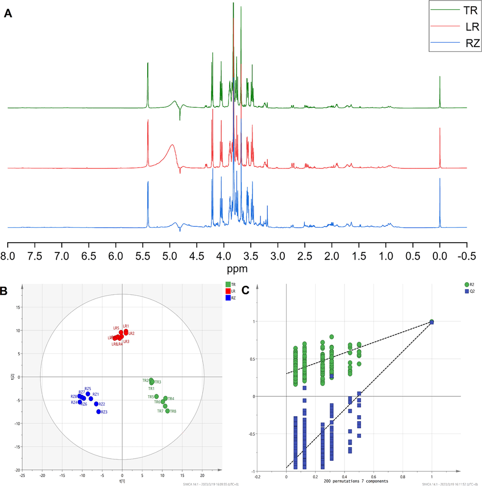 1H NMR metabolome results. (A) Representative 500 MHz 1H NMR Spectra (NMR solvent: NaH2PO4 buffer in D2O) of the aqueous methanol extracts from TR, LR, RZ of ginseng. (B) 1H NMR PLS-DA scores plots. (C)Validate Model.