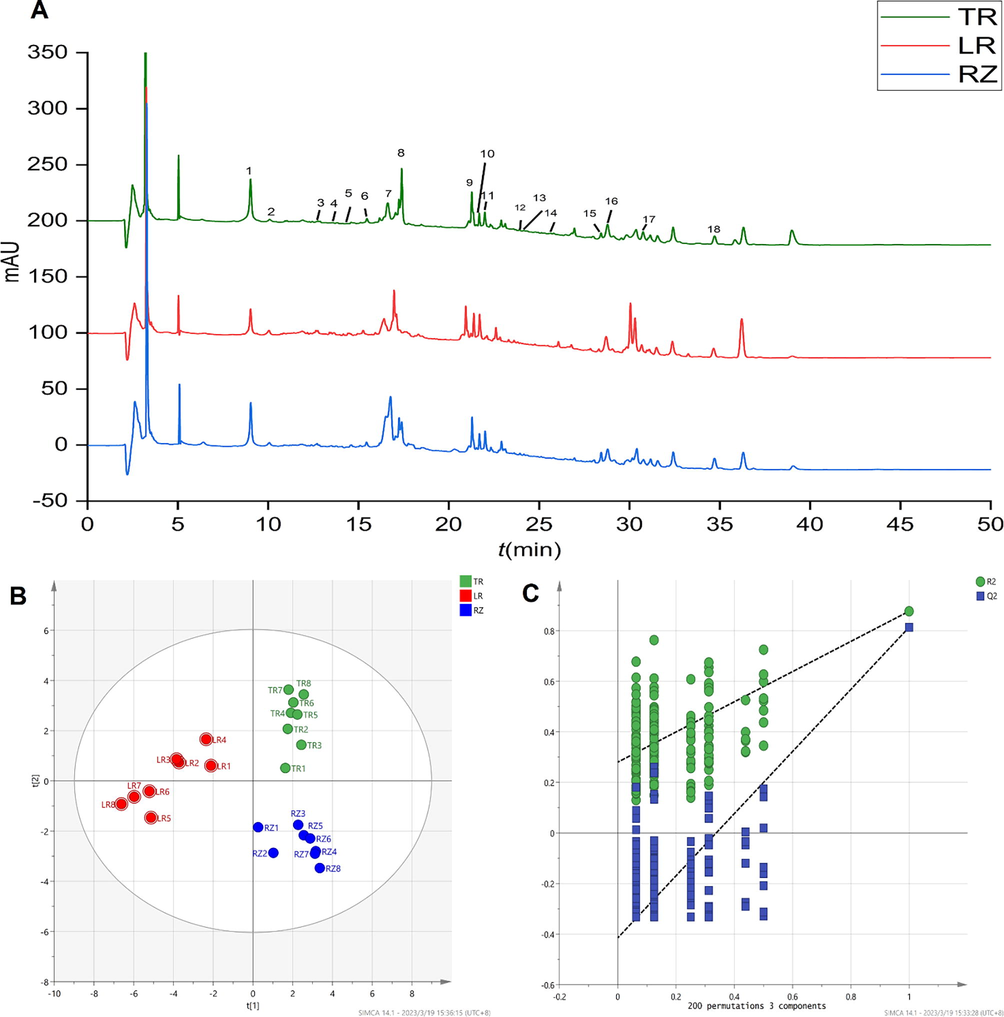 LC-MS metabolome results. (A) RRLC-chromatogram of water saturation butanol extract from TR, RZ and LR of ginseng. (B) LC-MS PLS-DA scores plots. (C)Validate Model.