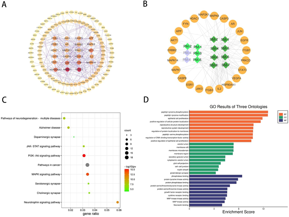 Network pharmacology analysis results. (A)Protein-protein interaction network (Circles represent target.). (B). DMs-Target network (Circles represent target the diamond represents metabolites.). (C). KEGG pathway enrichment results. (D). GO analysis results.