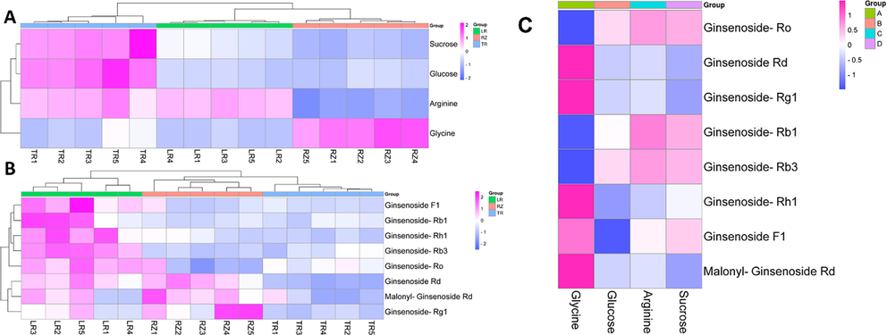 Heat map of correlation between the content of major DMs and multi-parts ginseng. (A) PDMs. (B).SDMs.(C). The correlation between the content of PDMs and SDMs.