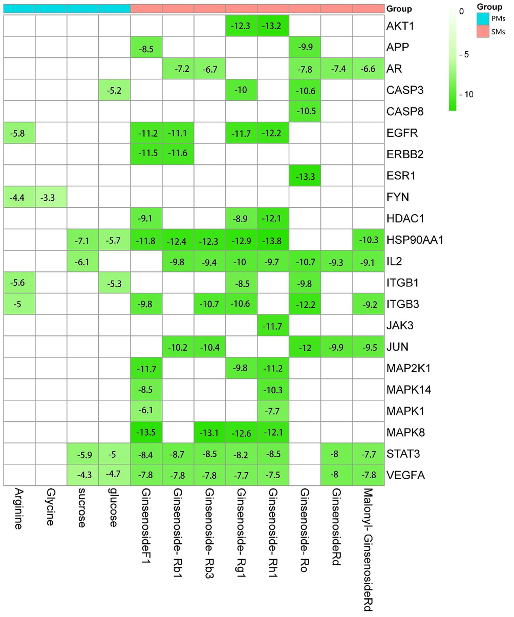 Molecular docking binding energy results.(White means that DMs and Targets were no relationship in DMs-Target network.).