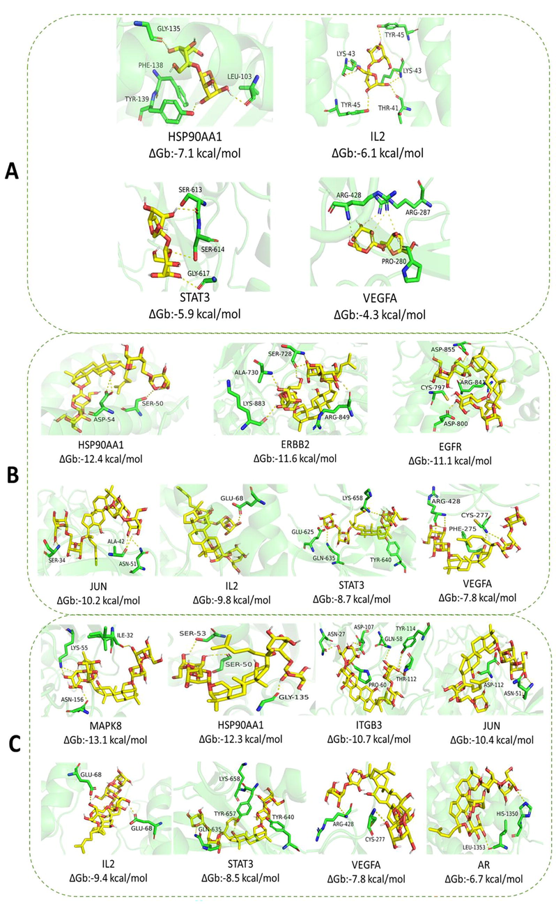 Molecular docking results. (A). Molecular docking of sucrose and effector targets. (B). Molecular docking of ginsenoside Rb1 and effector targets. (C). Molecular docking of ginsenoside Rb3 and effector targets.