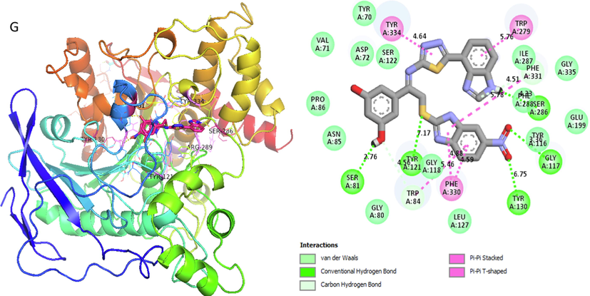 Represent 2D and 3D structure for analog 14-G in α-amylase complex.