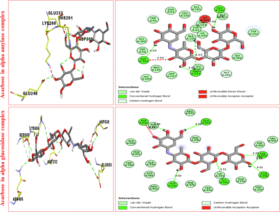 Represent 2D and 3D structure for acarbose in both α-amylase and α-glucosidase complex.