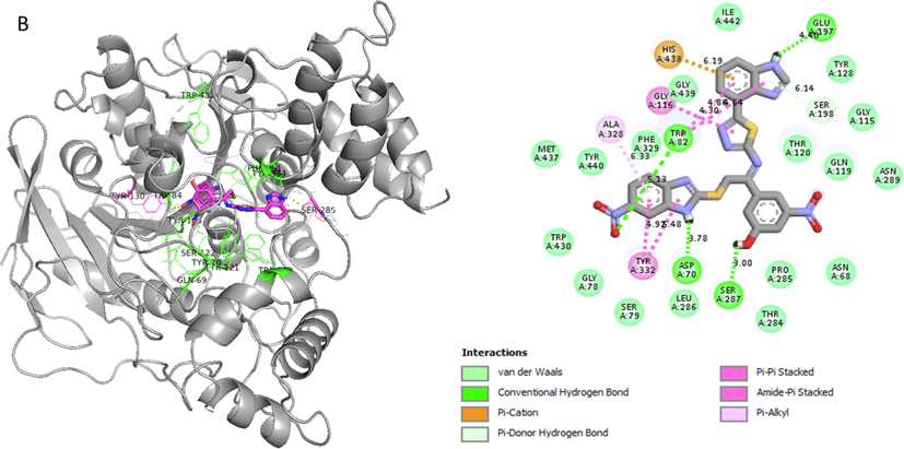 Represent 2D and 3D structure for analogue1-B in α-glucosidase complex.