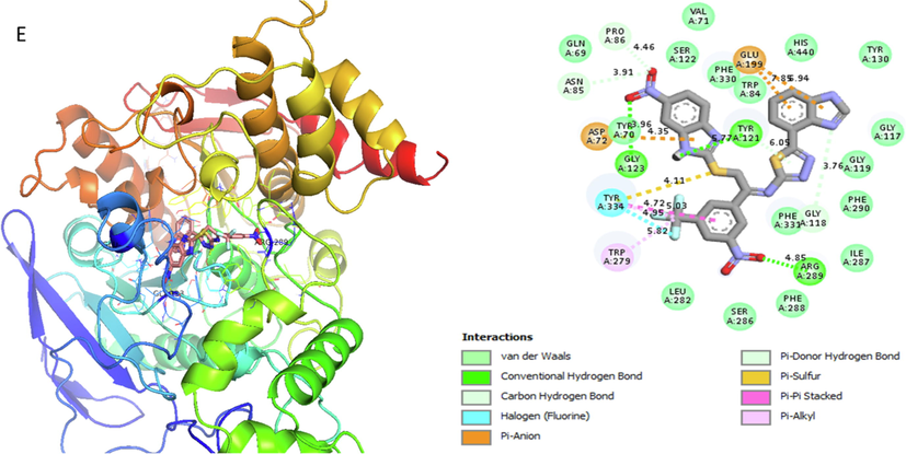 Represent 2D and 3D structure for analog 9-E in α-amylase complex.