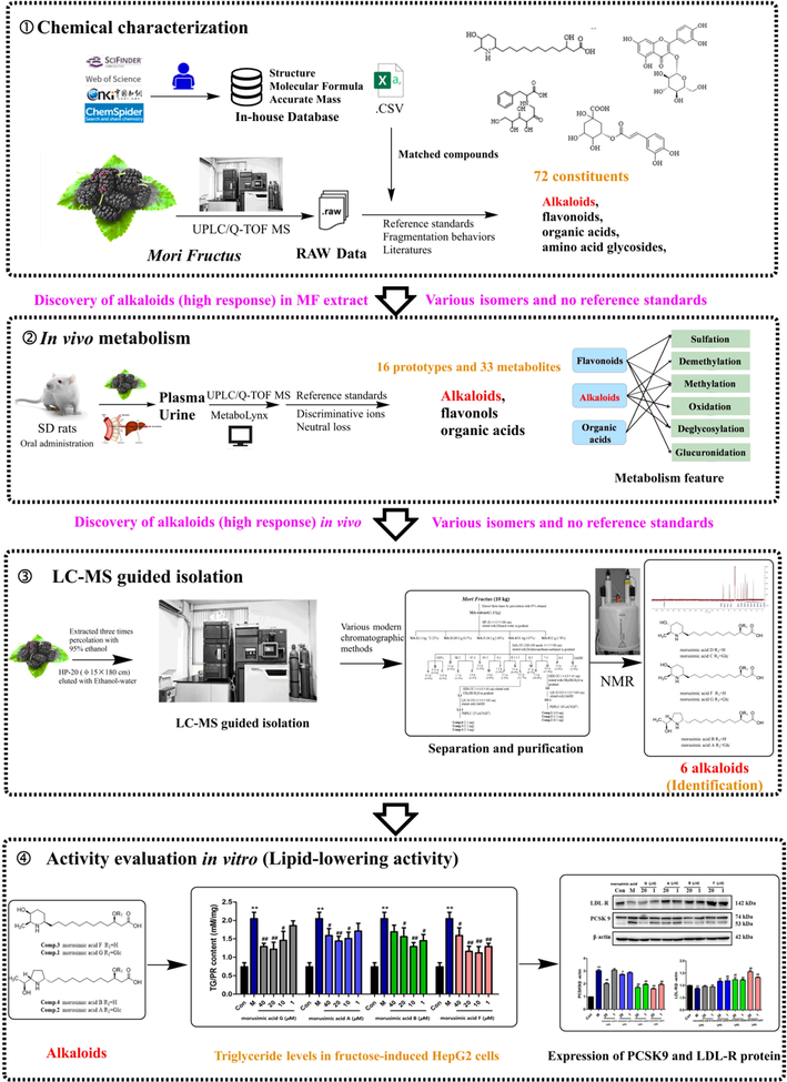 The integrated strategy for target discovery of potential lipid-lowering materials in Mori Fructus.