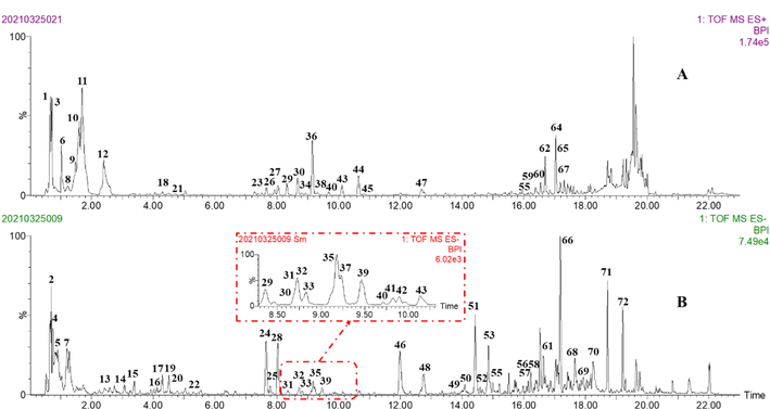 The base peak intensity (BPI) chromatograms of MF by UPLC/Q-TOF MS. (A) positive ion mode; (B) negative ion mode.