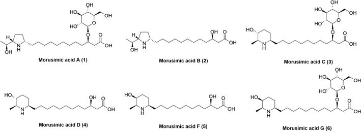 Structure of 6 isolated alkaloids.