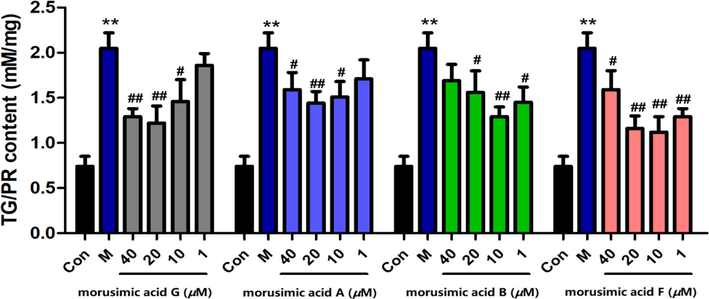 Effects of morusimic acid G, morusimic acid A, morusimic acid B and morusimic acid F on triglyceride levels in fructose-induced HepG2 cells at different concentrations (n = 3). **P < 0.01 vs. control group and ##P < 0.01, #P < 0.05 vs. Model group.