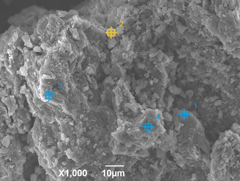 SEM image of C4RS-Na.