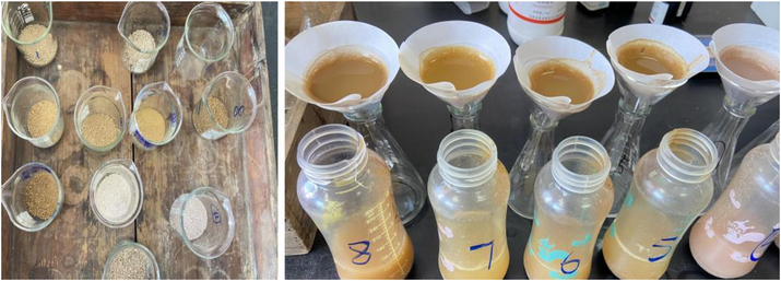 Soil treatment and allocation.