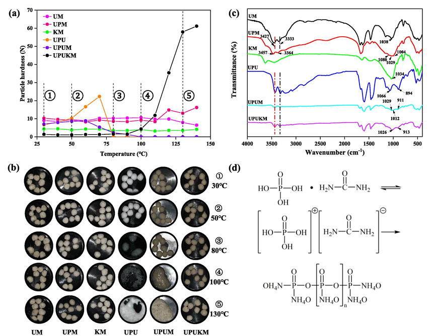 Particle hardness (a) and images (b) of the prepared fertilizers at different temperatures, FTIR spectra of fertilizer after preparation (c), and scheme for generation of polyphosphate via the polycondensation reaction between urea phosphate and urea (d). See Table 1 for details of the fertilizers.