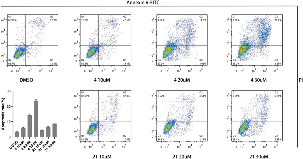 The cells apoptosis after S4 added 48 h with different compounds concentration.