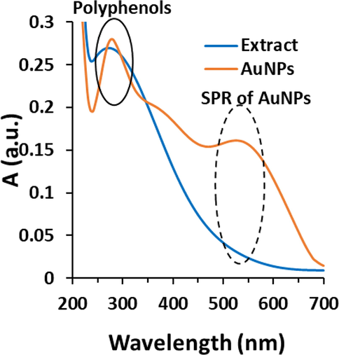 UV–visible study of biosynthesized AuNPs using leaf extract of Citrus medica. The extract was used as the control.