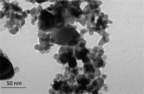 TEM analysis of biosynthesized AuNPs using leaf extract of Citrus medica.