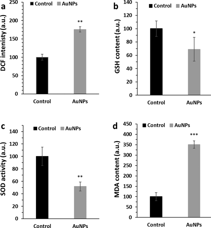 The effects of biosynthesized AuNPs (45 μg/mL) using leaf extract of Citrus medica on induction of oxidative stress through analysis of (a) ROS, (b) GSH content, (c) SOD activity, (d) MDA level in HepG2 (human liver cancer cell line) cells. The HepG2 cells were incubated with biosynthesized AuNPs for 24 h. *P < 0.05, **P < 0.01 relative to control samples.