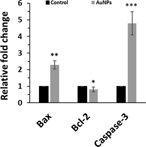 The effects of biosynthesized AuNPs (45 μg/mL) using leaf extract of Citrus medica on expression of Bax, Bcl-2, and Capsase-3 determined by qPCR assay in HepG2 (human liver cancer cell line) cells. The HepG2 cells were incubated with biosynthesized AuNPs for 24 h. *P < 0.05, **P < 0.01, ***P < 0.001 relative to control samples.