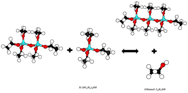 Stepwise of reaction alcohol condensation.