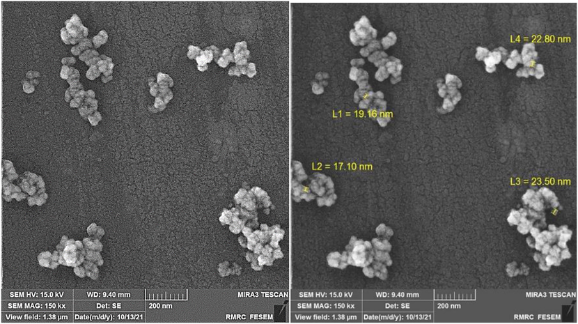 FESEM image showed the Amorphous Mesoporous Silica Nanoparticles.