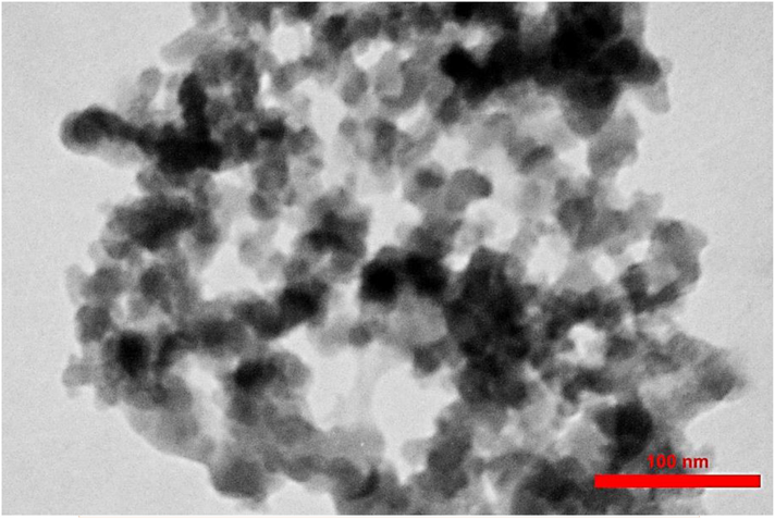 TEM image showed the Mesoporous Amorphous Silica Nanoparticles (AMSN).