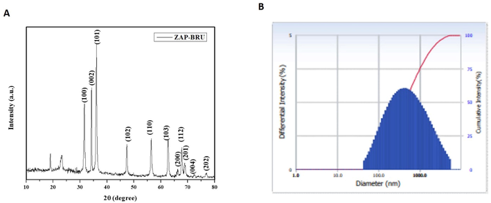 XRD Pattern and DLS analysis of ZAP-Bru nanocomposites. (a). XRD analysis (b). Number-weighted particle size distribution, obtained by DLS.