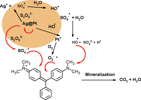 Mechanism of persulfate activation and degradation of MG.