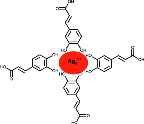 Capping action of caffeic acid with AgNPs.