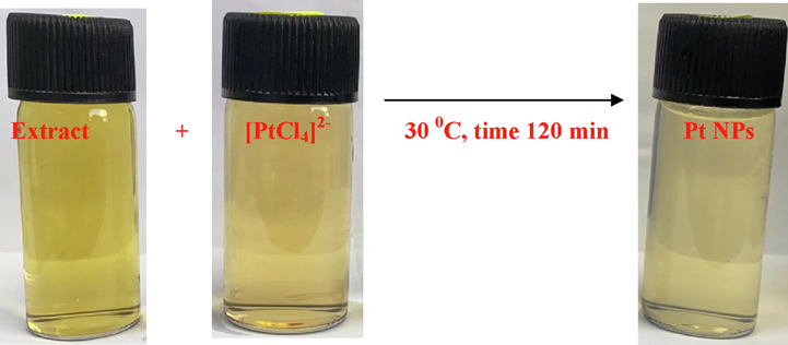 Optical images of Pt NPs after 120 min at 30 °C.