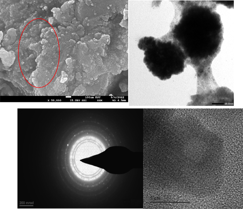 SEM and TEM (high resolution, and corresponding lattices) images of Ag-Pt NPs.