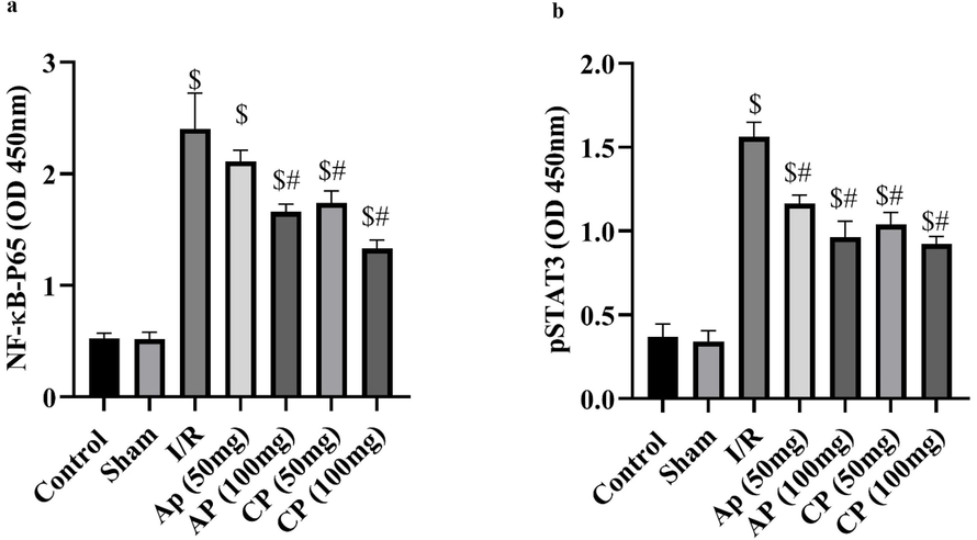 The effects of apple pectin (AP) and citrus pectin supplementation for 10 days on the expression levels of NF-κB (a) and pSTAT3 (b) proteins. $ shows significant differences compared control and sham groups at probability level of P < 0.05 and # represents significant differences compared I/R groups at probability level of P < 0.05 (n = 5).