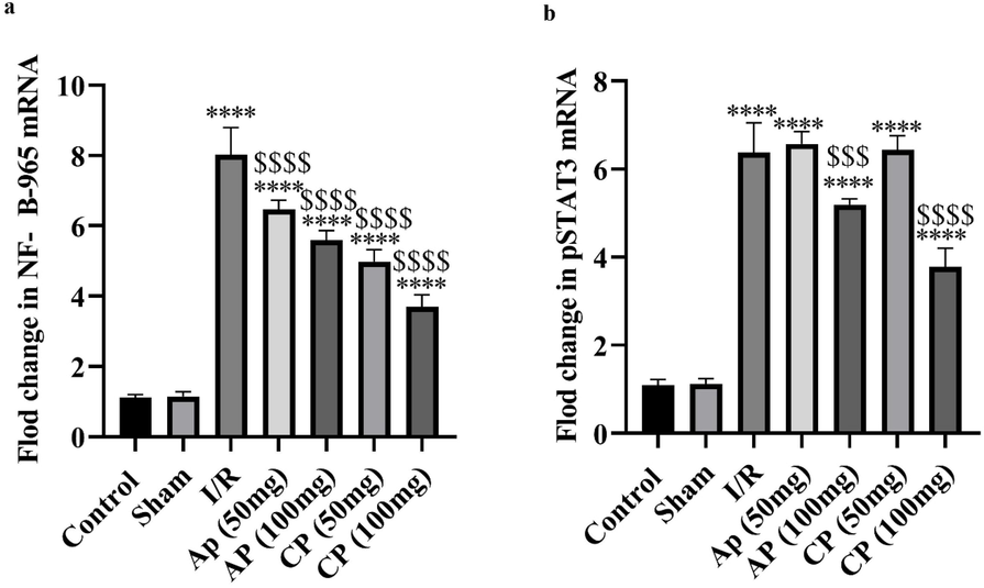 The effects of apple pectin (AP) and citrus pectin supplementation for 10 days on the expression levels of NF-κB (a) and pSTAT3 (b) genes. **** shows significant differences compared control and sham groups at probability level of P < 0.0001 and $$$ and $$$$ represents significant differences compared I/R groups at probability level of P < 0.001 and P < 0.0001 (n = 5).