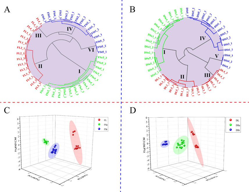 (A)&(B): Dendrograms of different parts resulting from HCA. (C)&(D): Classification of different parts analyzed samples by PCA analysis. FSt: fresh stems; FSe: fresh seeds; FL: fresh leaves; DSt: dried stems; DSe: dried seeds; DL: dried leaves.