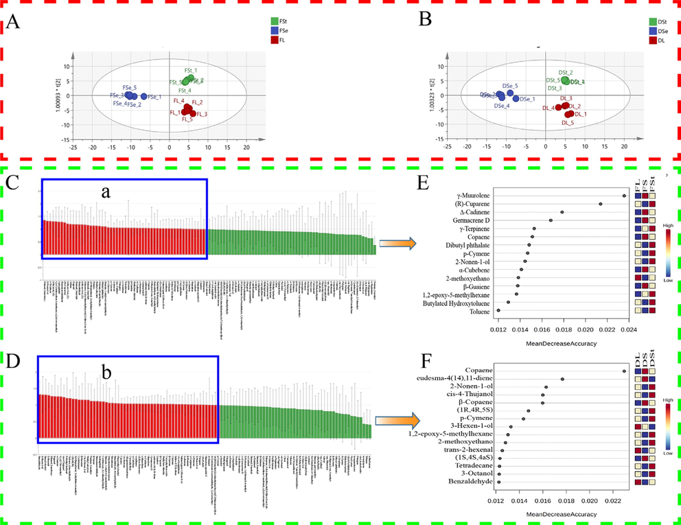 OPLS-DA and RF of different parts of P. frutescens (blue: seeds, green: stems, red: leaves). FSt: fresh stems; FSe: fresh seeds; FL: fresh leaves; DSt: dried stems; DSe: dried seeds; DL: dried leaves. (A)&(B) Discriminatory classification map. (C)&(D) The variable importance for the projection (VIP) predictive of the VOCs (a&b were VIP value greater than 1). (E) significant features of different parts of the fresh. (F) significant features of different parts of the dried. Additionally, (1R,4R,5S): (1R,4R,5S)-1,8-dimethyl-4-(prop-1-en-2-yl)spiro[4.5]dec-7-ene. (1S,4S,4aS): (1S,4S,4aS)-1-isopropyl-4,7-dimethyl-1,2,3,4,4a,5-hexahydronaphthalene. (2R,3S,5S,6R): (2R,3S,5S,6R)-2,5-bis(4-Methoxyphenyl)-3,6-dimethyl-1,4-dioxane-rel- 1,1,4,7-Tetramethyl: 1,1,4,7-Tetramethyl-1a,2,3,4,6,7,7a,7b-octahydro-1H-cyclopropa[e]azulene.