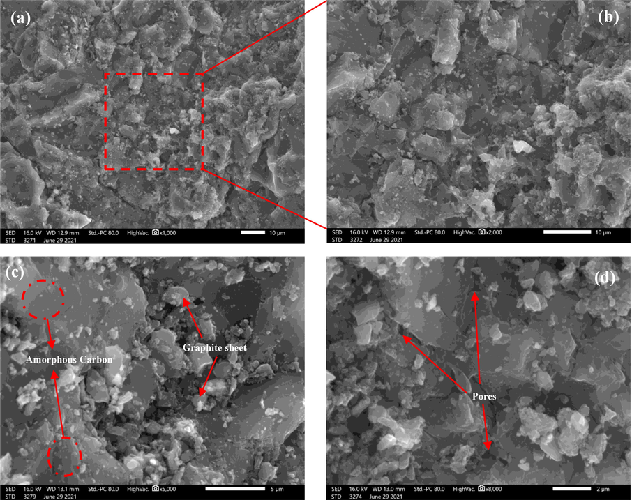 SEM image at low and high magnification of (a,b) HCop, (c,d) AHCop.