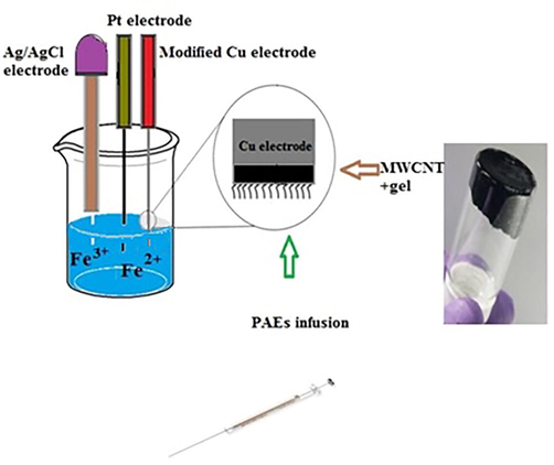 Schematic image of modification of Cu electrode by MWCNTs.