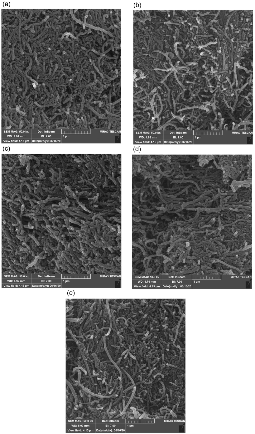 FESEM images of MWCNTs before (a) and after spiking by DEHP (b), DBP (c), DCHP (d), and DMP (e).