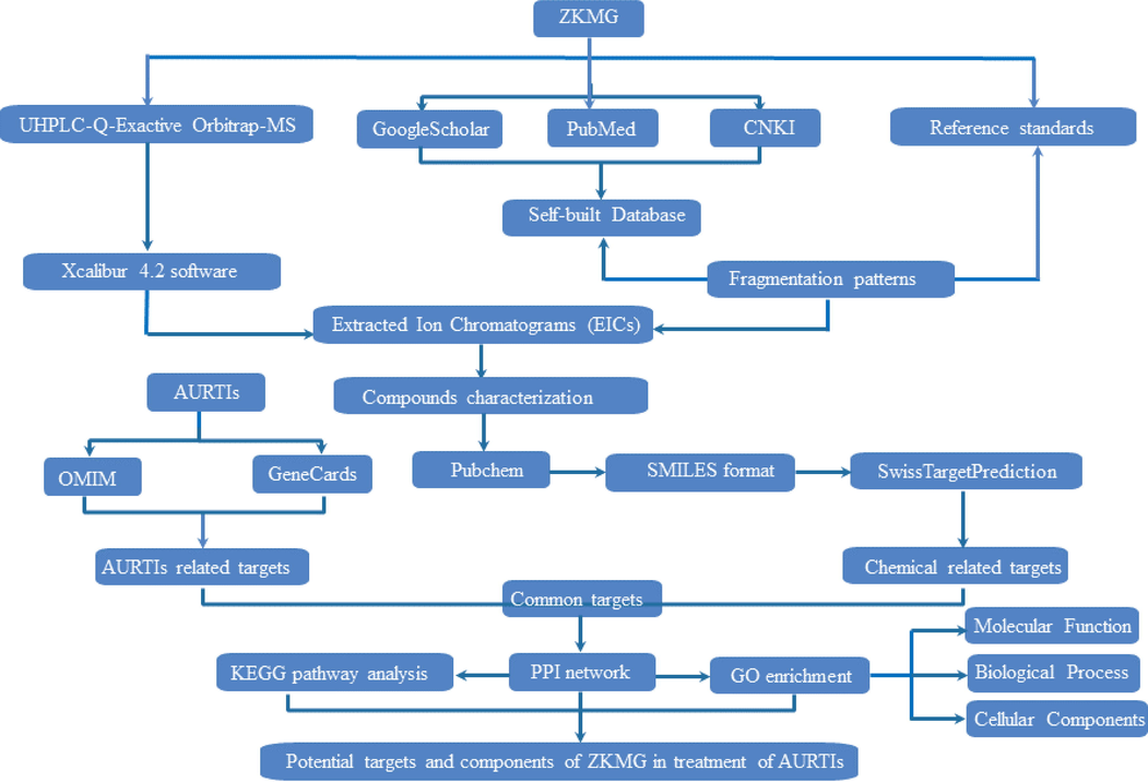 The analytical strategy based on UHPLC-MS and network pharmacology for exploring potential pharmacodynamic substance and mechanisms of action of ZKMG on AURTIs.