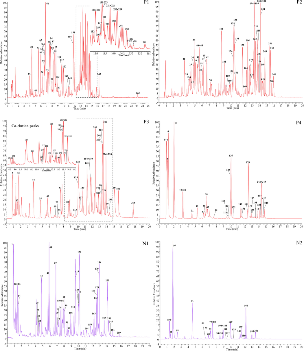 The high resolution extracted ion chromatograms (EICs) of ZKMG in the positive (P) and negative ion mode (N). P1. m/z 153.0557, 271.0611, 301.0353, 339.0721, 355.1187, 367.1034, 433.0776, 449.1453, 457.1140, 459.1296, 469.3323, 473.1089, 479.2650, 489.1038, 515.1406, 517.0412, 519.1871, 593.1300, 595.1668, 615.0991, 621.1097, 623.1617, 625.1410, 635.0889, 639.1566, 695.1981, 711.2141, 725.2087, 771.1989, 835.3757, 859.3757, 863.4070, 895.3969, 953.4751, 955.4908, 999.4442; P2. m/z 255.0662, 283.0248, 285.0615, 301.0717, 311.0408, 325.0928, 329.0878, 343.0823, 373.0928, 433.1140, 445.0776, 445.1140, 451.1245, 463.0881, 463.1245, 477.0674, 483.0780, 563.1406, 565.1562, 589.1351, 591.1719, 623.1981, 807.4172, 819.3808, 879.4019, 967.4544, 983.4493; P3. m/z 153.0193, 163.0400, 191.0561, 253.0506, 269.0455, 283.0611, 285.0404, 297.0404, 300.9989, 315.0510, 329.0666, 331.0670, 337.0928, 407.1347, 415.1034, 431.0983, 447.0932, 459.0932, 461.0725, 475.0881, 491.0831, 515.1194, 577.1562, 579.1719, 593.1875, 607.1668, 609.1461, 853.3863; P4. m/z 133.0142, 137.0244, 169.0142, 179.0349, 191.0197, 197.0455, 291.0146, 353.0878, 359.0772, 417.1191, 537.1038, 549.1613, 593.1511, 609.1824, 821.3965, 837.3914; N1. m/z136.0617, 153.1273, 205.0971, 268.1332, 272.1281, 282.1488, 284.0989, 298.1437, 301.0706, 302.1386, 314.1750, 314.1761, 316.1543, 326.1386, 328.1543, 330.0597, 354.1335, 356.1492, 358.2012, 369.1332, 370.1648, 386.1598, 400.1390, 448.1965, 462.2122, 463.1234, 493.1340, 639.1919; N2. m/z 132.1019, 166.0862, 268.1040, 286.1437, 300.1594, 312.1594, 330.1699, 340.1543, 342.1699, 344.1856, 414.1547, 417.1180, 428.1703, 431.1336, 446.1809, 447.1285.