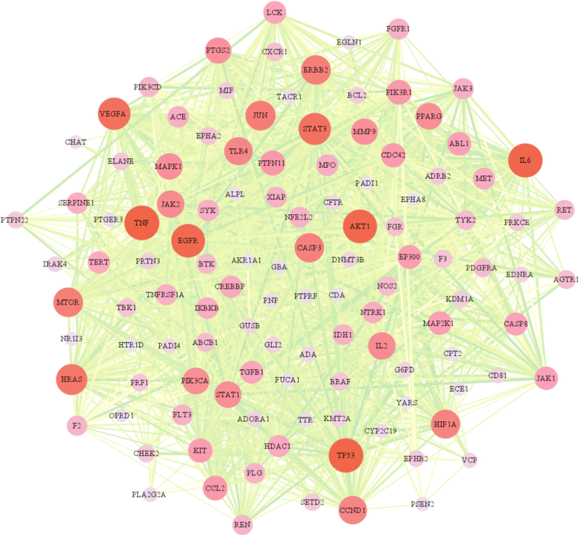 Protein-protein interaction (PPI) network.